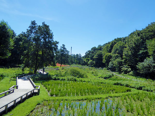 jindaiji