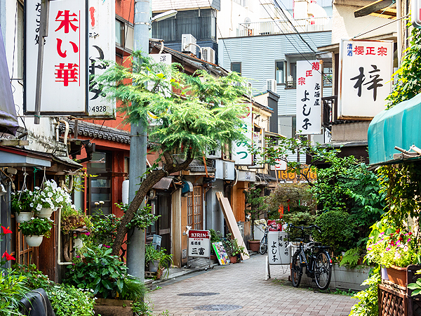 kiyosumi